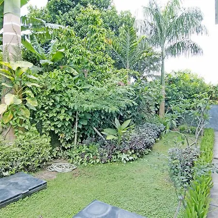 Zen Rooms Kerobokan Bimasena